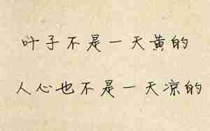 憧憬未来却心凉的句子
