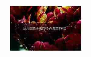 运用想象优美的句子是
