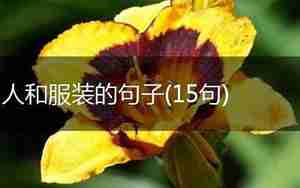 描述女性服装的句子