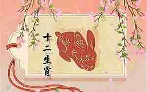 属兔婚姻
