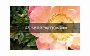 描写比赛前同学们句子