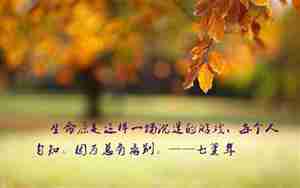 唯美风景句子配图片