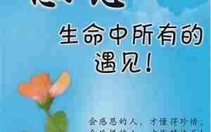 感恩朋友的接待句子