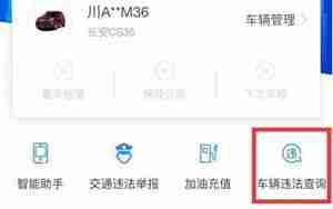 汽车车主查询