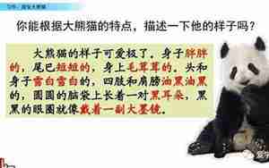 大熊猫怎么样式的动作句子