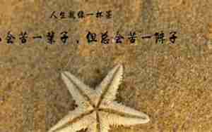 有关于生活的唯美的句子大全集