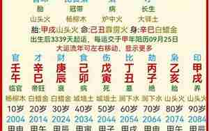 葵酉辛酉乙卯八字
