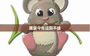 属鼠今年运势2017
