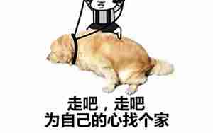 双十一又是单身的句子