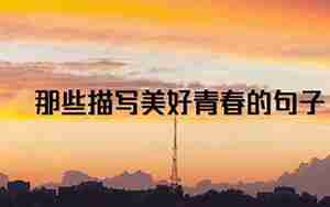 青春爱情脚步的句子