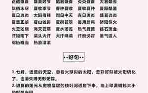 老师作文好词好句子
