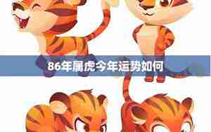 虎的运势分析