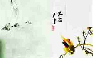 最美的句子