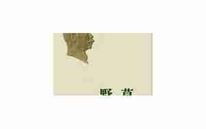 野草鲁迅句子