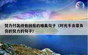 赞美一个人努力付出的句子