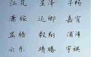 张晨起名