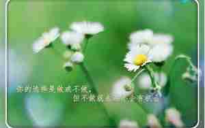 平平淡淡彼此珍惜的句子