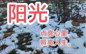 描写男孩子阳光的句子