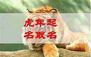 虎年男宝宝取什么名字好