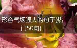有气场的句子