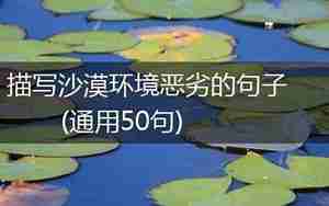恶劣的句子