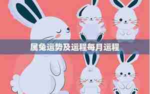 猴和兔的运势