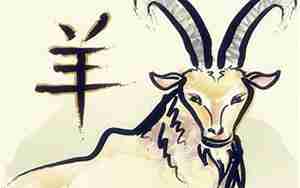 属羊起名