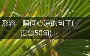让人心灰意冷表示心凉的句子