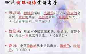 文学作品中的幽默句子