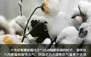 疼痛坚强的说话句子