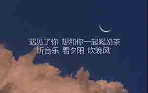 感情的句子