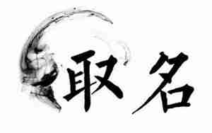 起名杜思