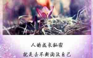 爱情经得磨难的段句子