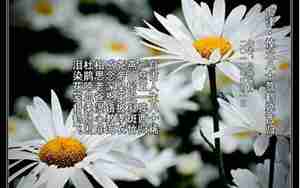 老爸去世四周年句子