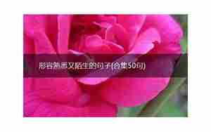 形容害怕陌生人的句子