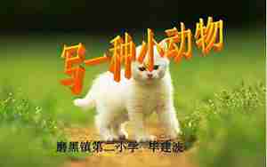 描写一种事物特点的句子