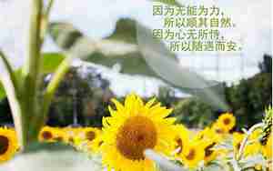 正能量的句子青春阳光