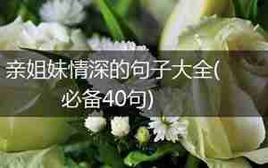 微信朋友圈姐妹情深的句子大全