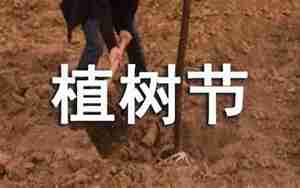 植树造福他人的句子