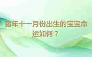 猪年十一月出生的宝宝名字大全