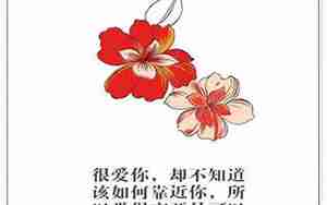 深情句子