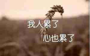 好书中体现人物累的句子