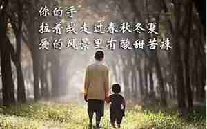 有关爸爸和儿子的句子