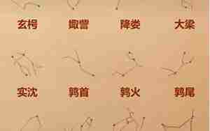訾和大火的运势