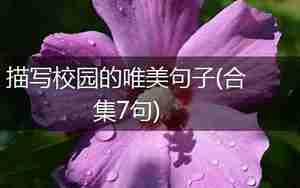描写在学校幸福的句子