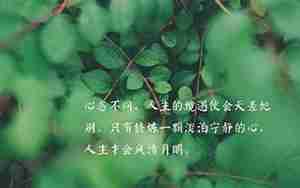 对生活和工作美好向往的句子