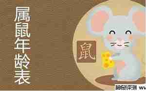 老鼠38岁运势