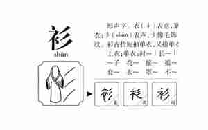 衫字起名