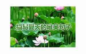 描写小溪夏天的句子