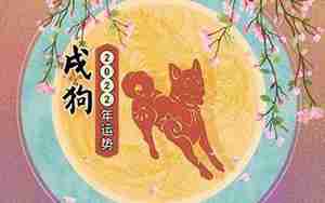属狗2019年运势及运程每月运程